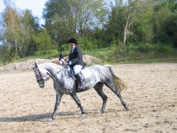 LF HSC - 0401_web